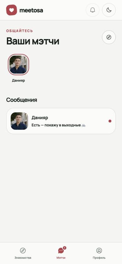Экран Connections в Meetosa